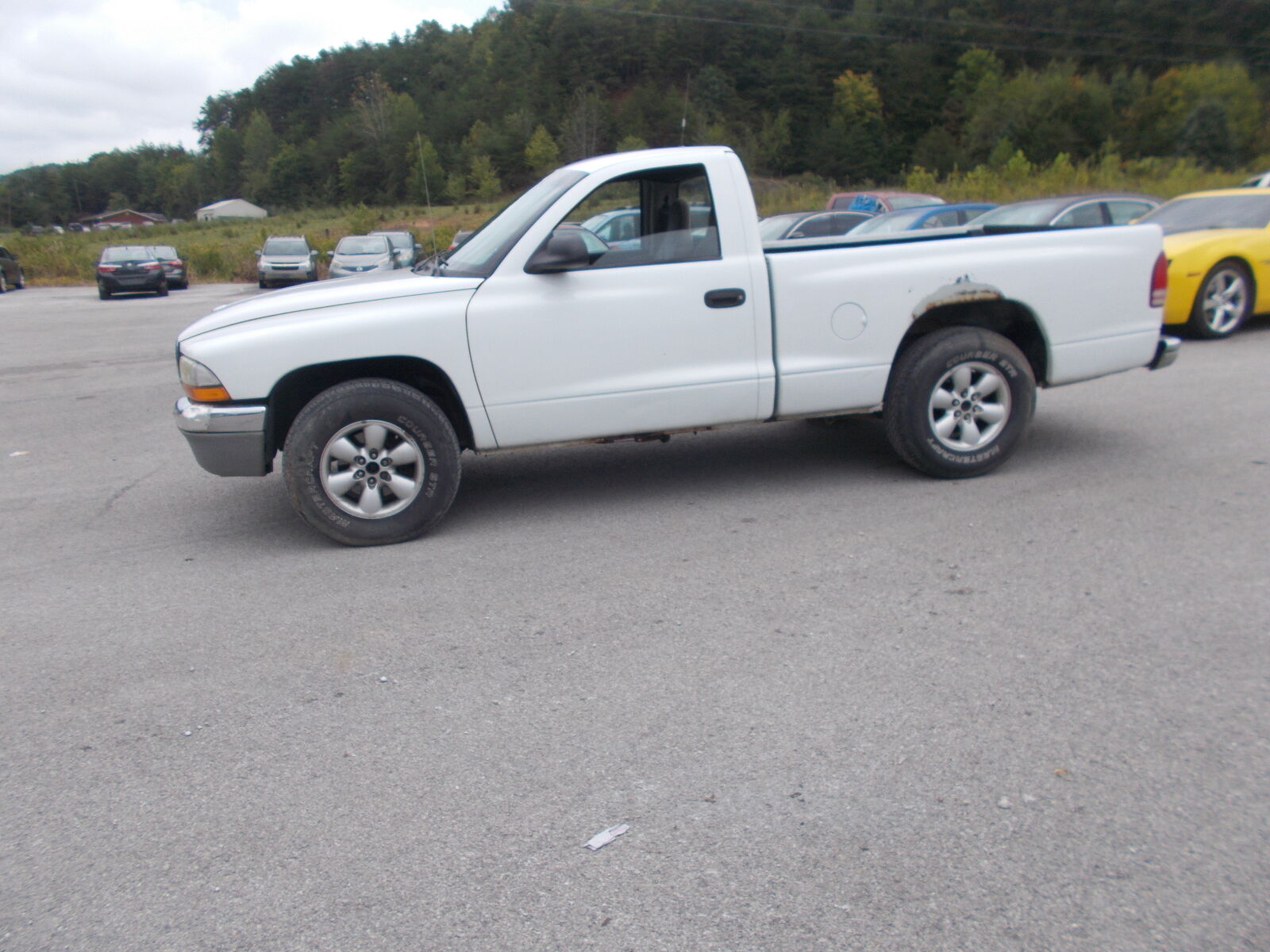 Dodge Dakota