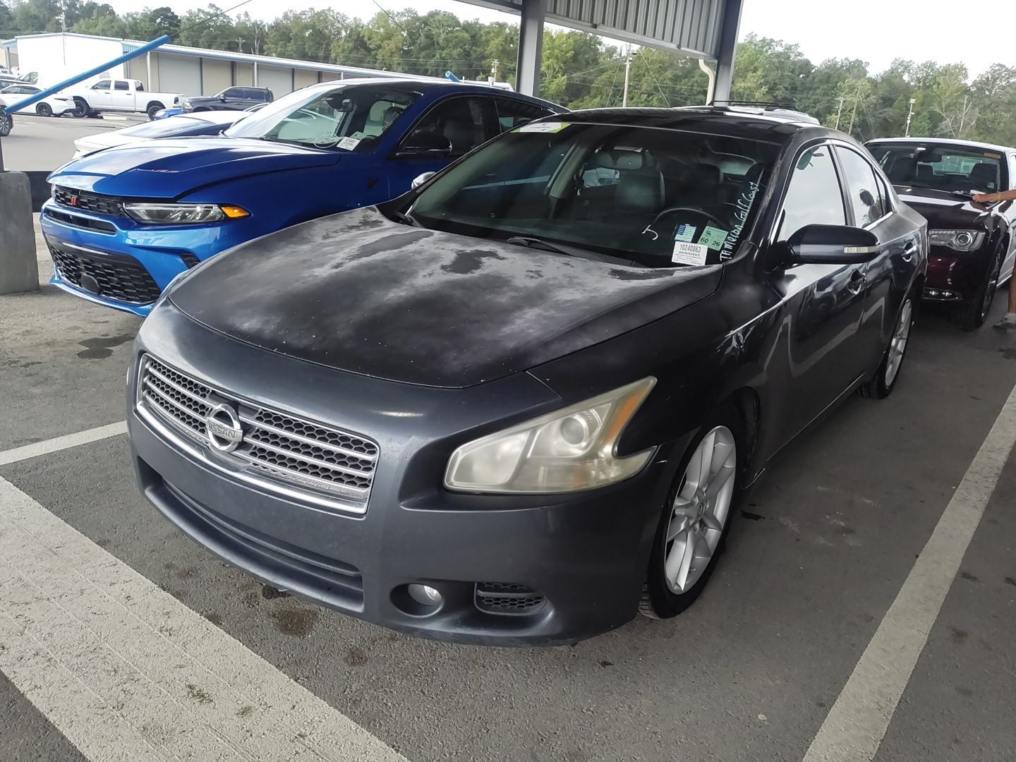 Nissan Maxima