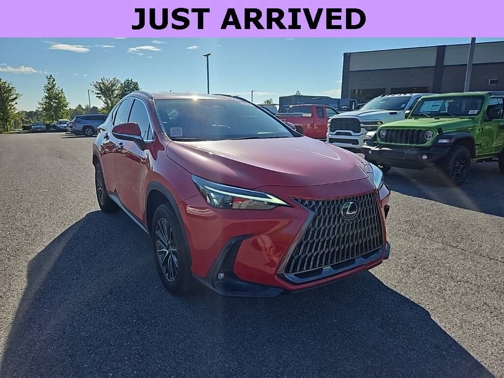 2024 LEXUS NX