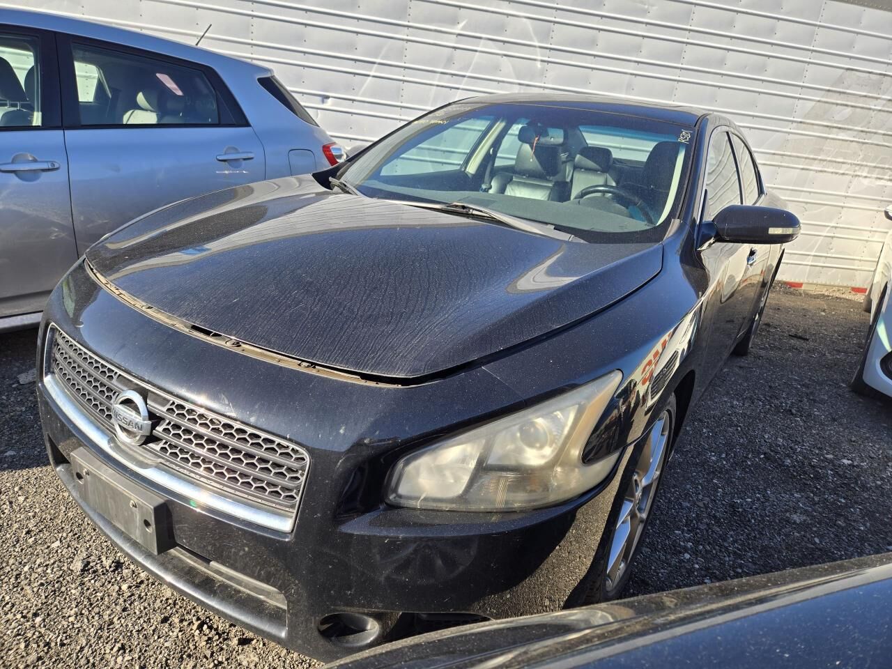 Nissan Maxima