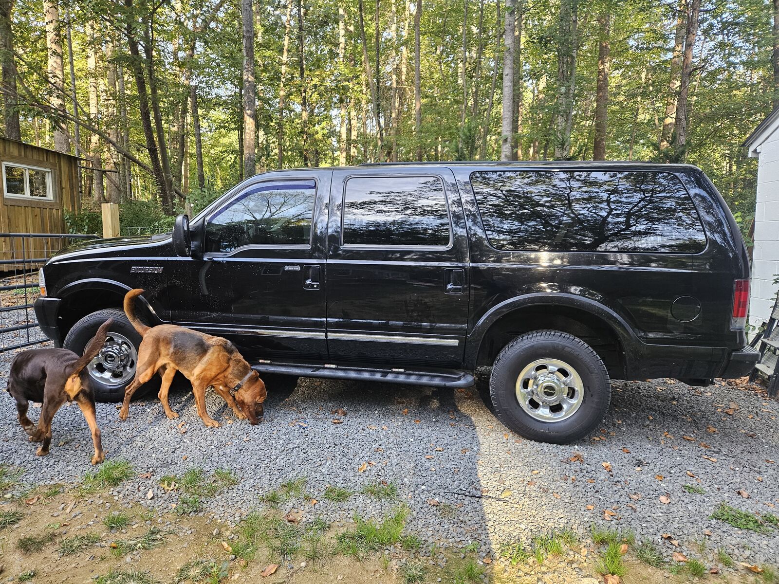 Ford Excursion