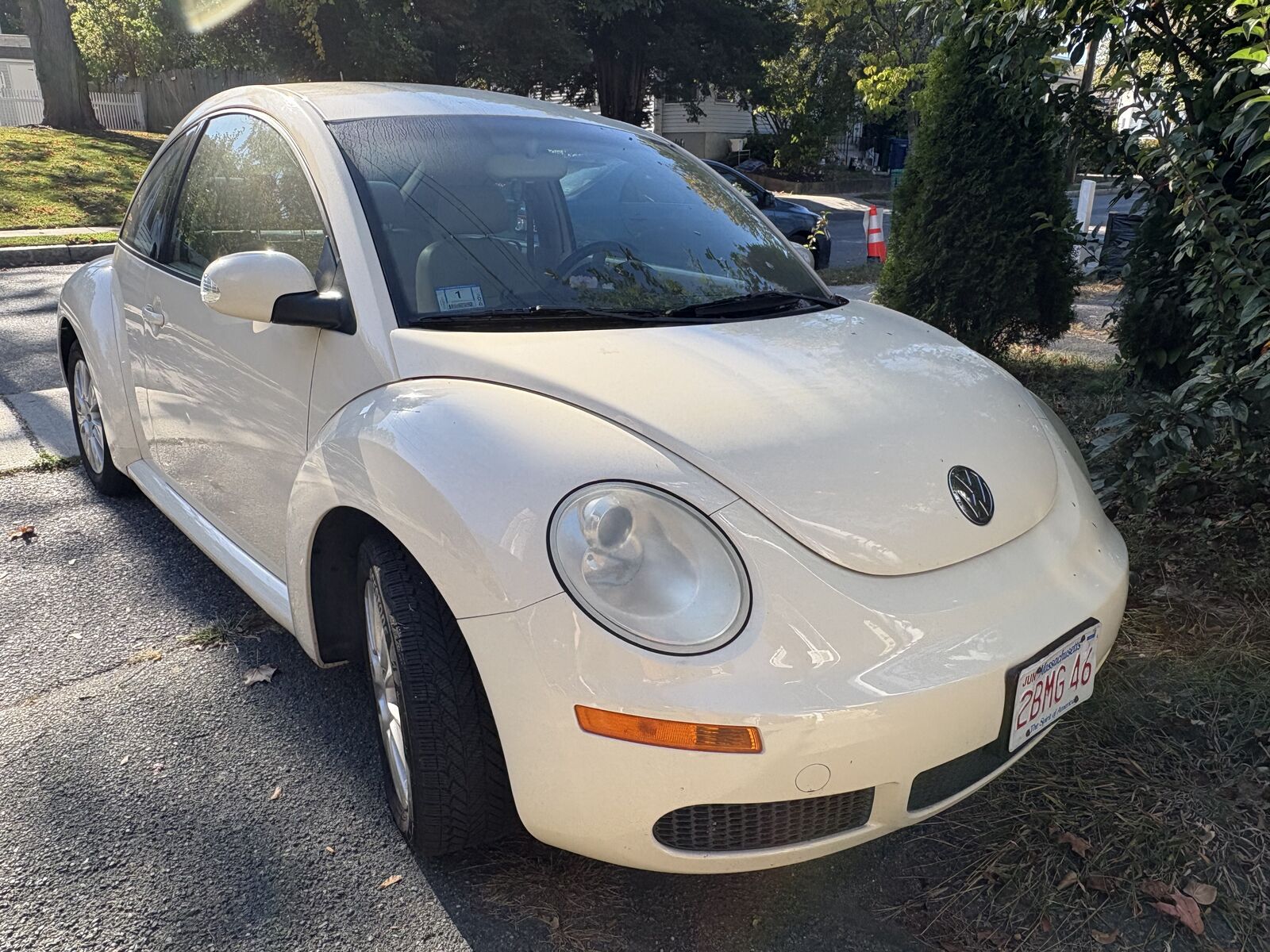Volkswagen Beetle