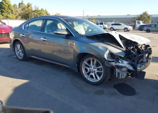 Nissan Maxima