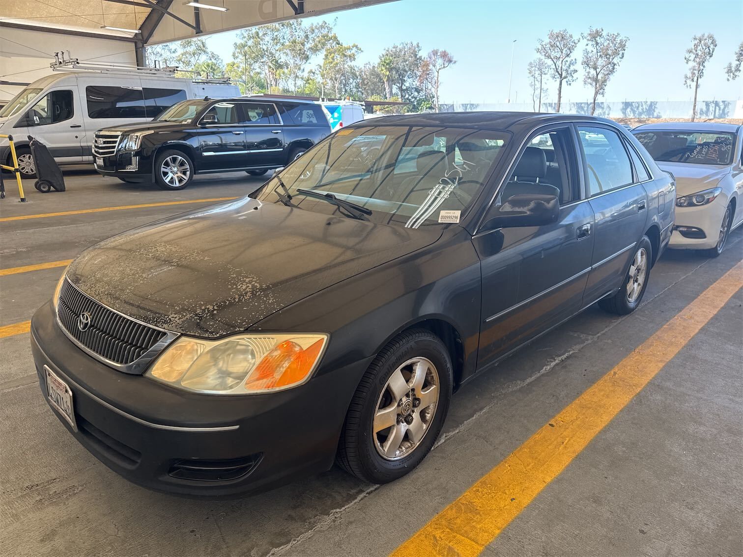 Toyota Avalon