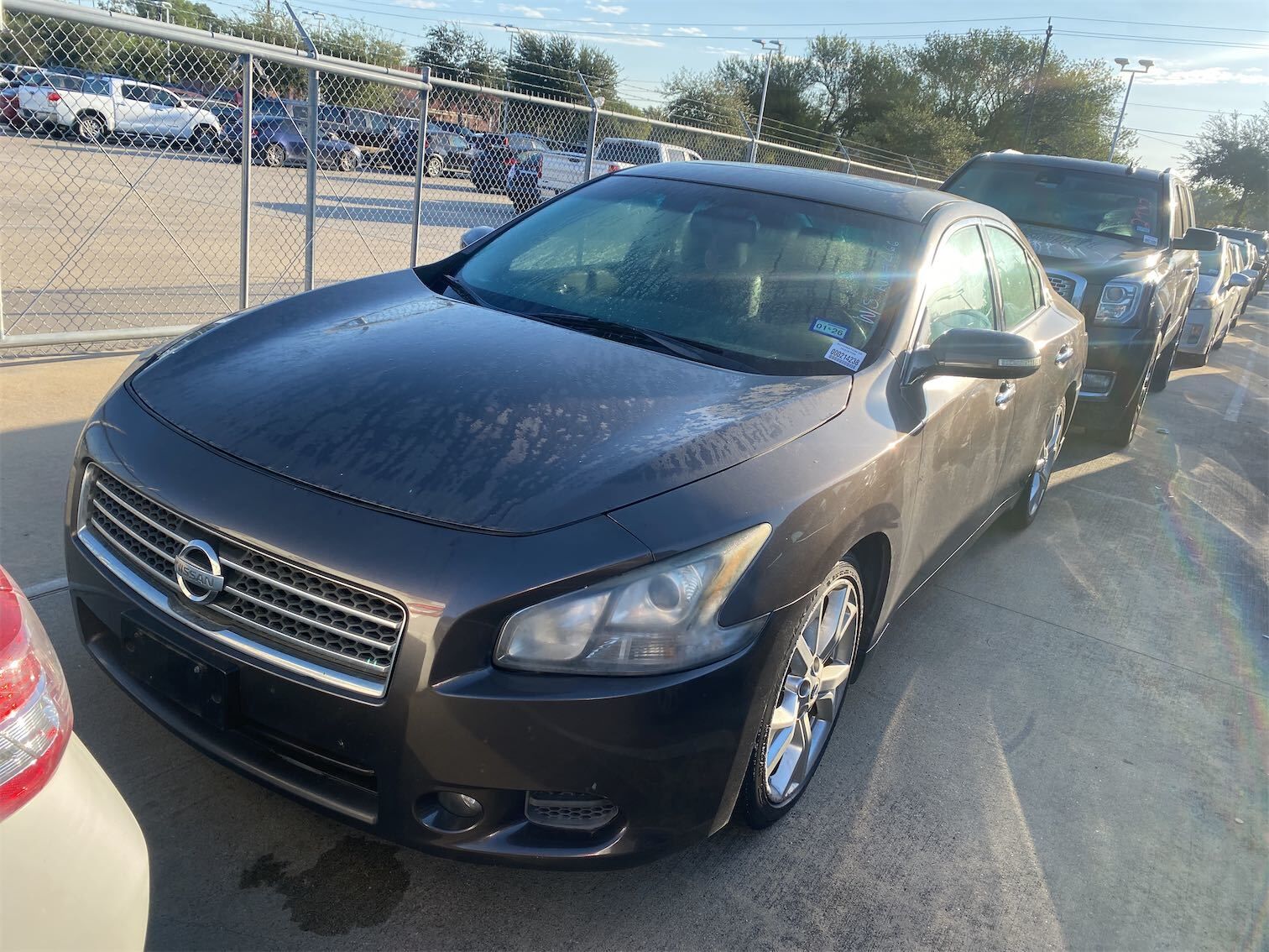 Nissan Maxima