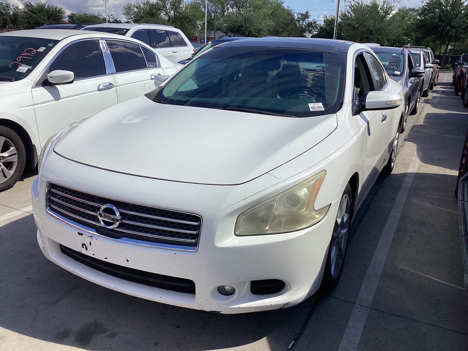 Nissan Maxima