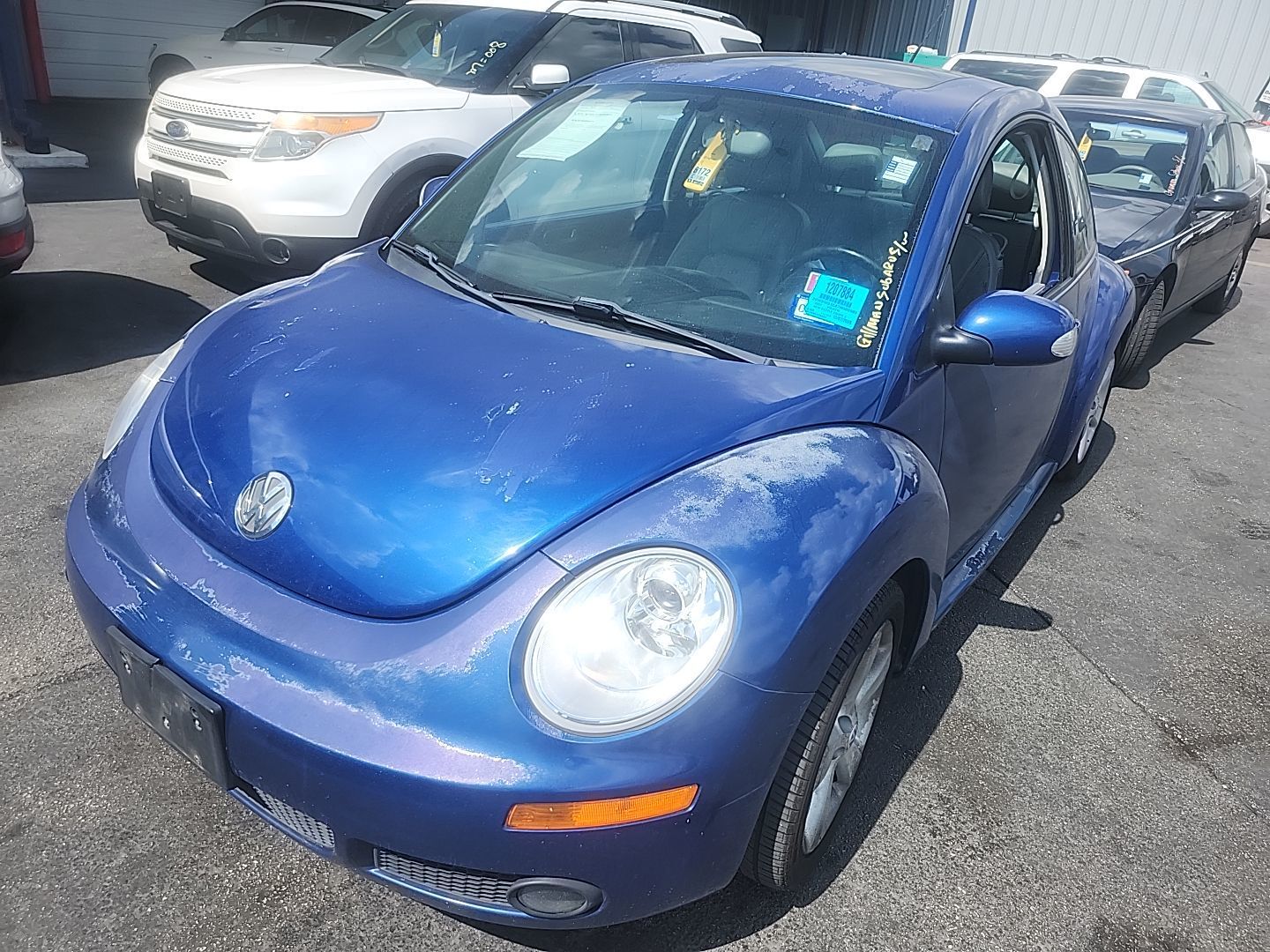Volkswagen Beetle