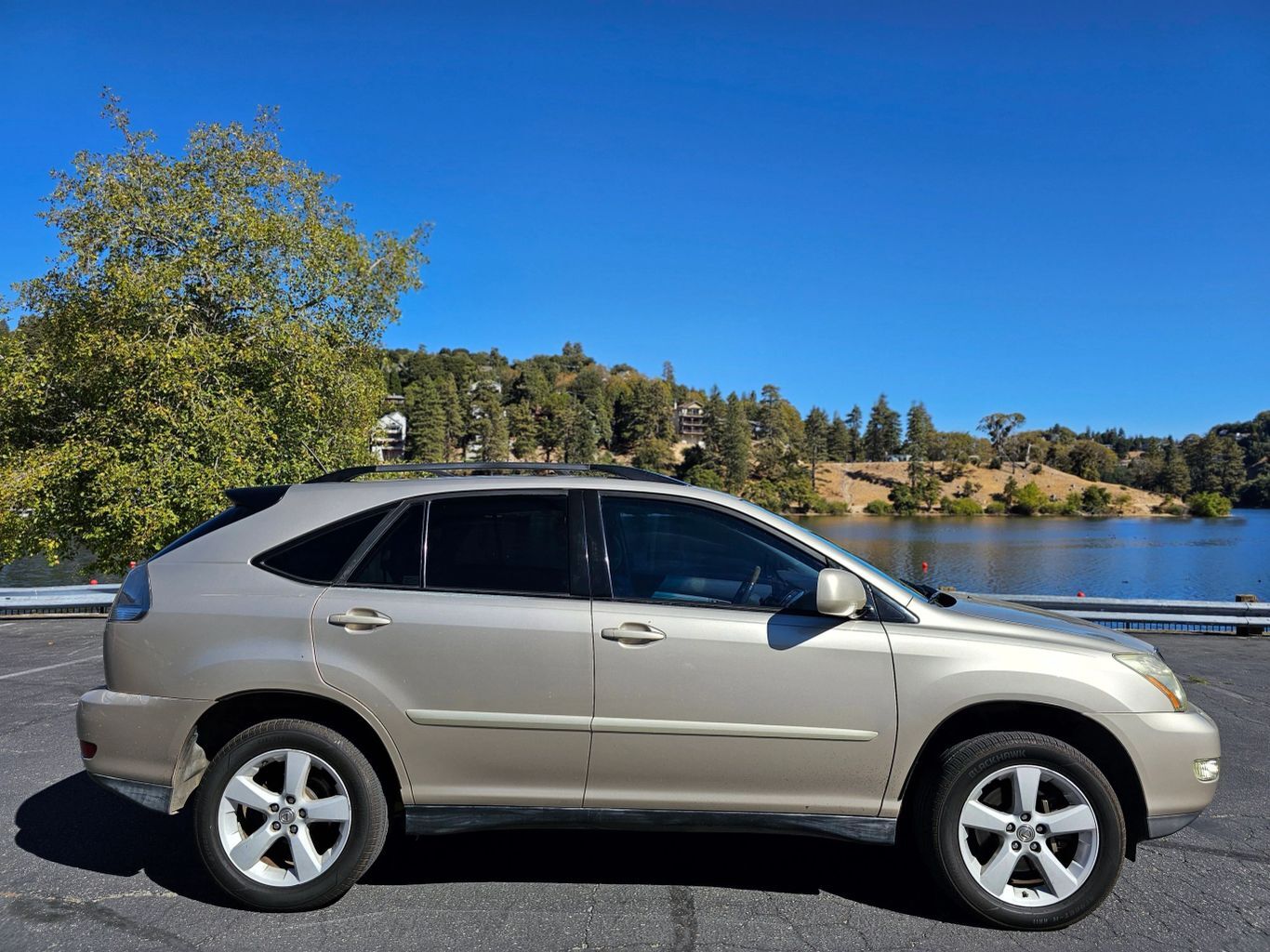 2007 Lexus RX