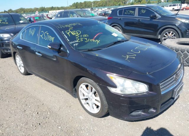 Nissan Maxima