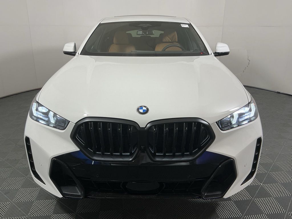 2026 BMW X6