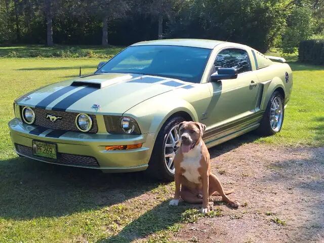 Ford Mustang