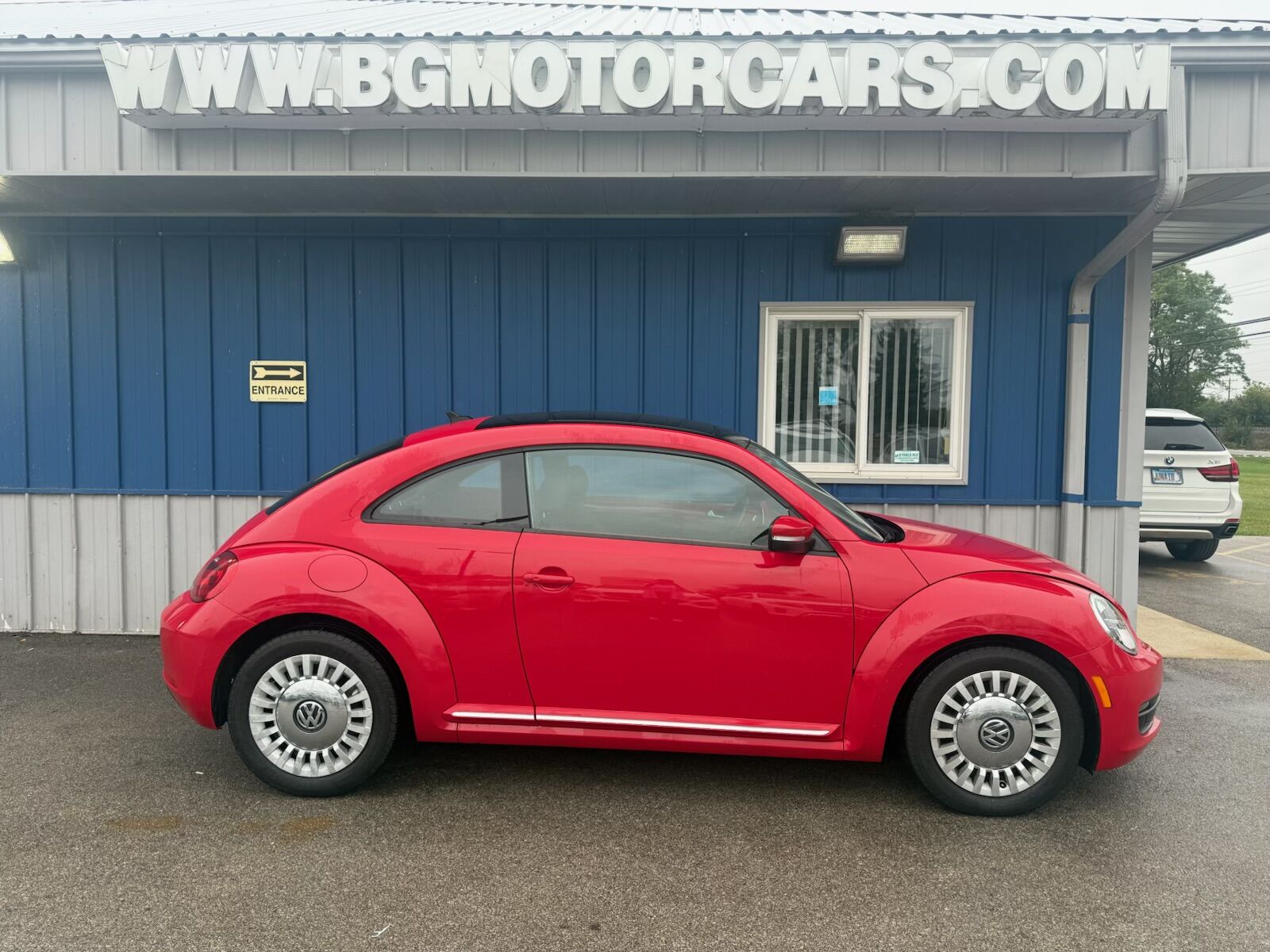 Volkswagen Beetle