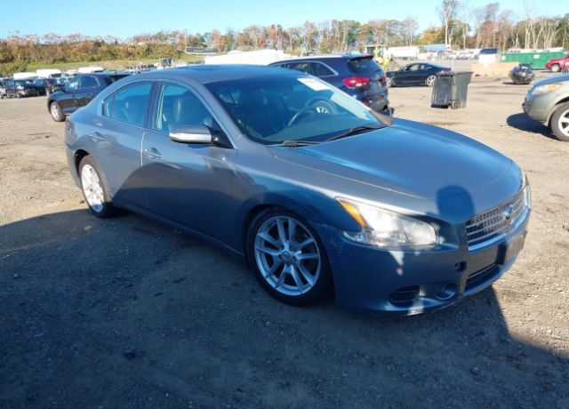 Nissan Maxima