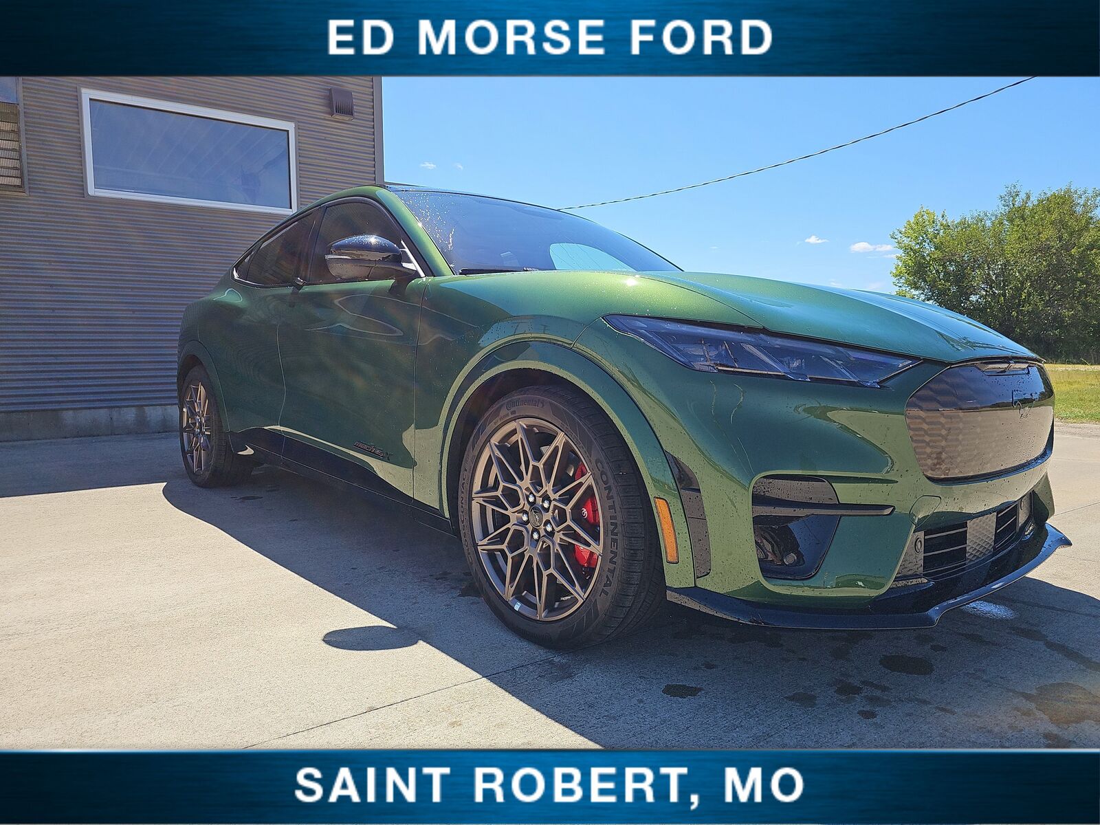2025 FORD Mustang