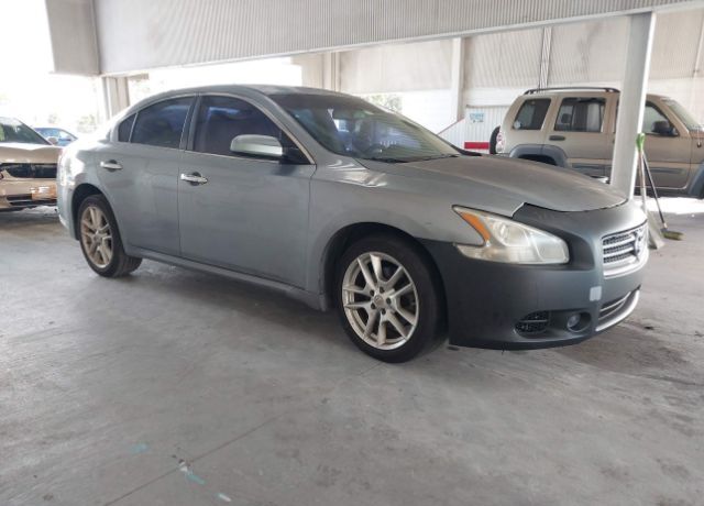Nissan Maxima