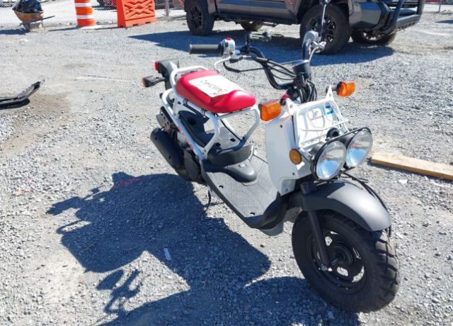 Honda NPS50 (Ruckus)