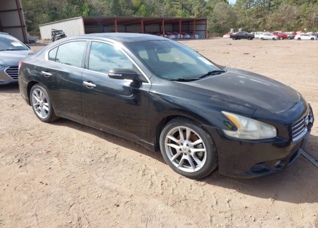 Nissan Maxima