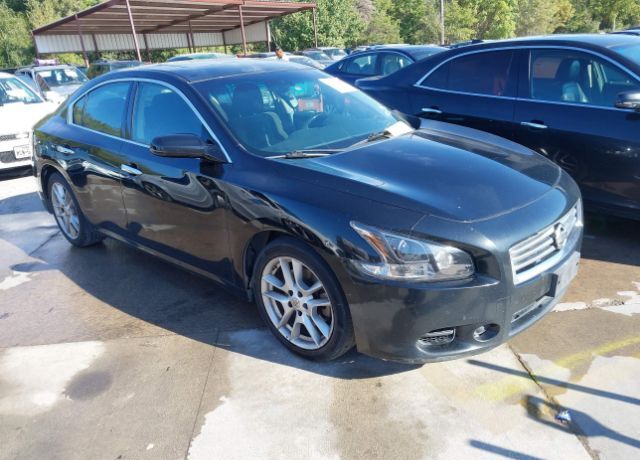 Nissan Maxima