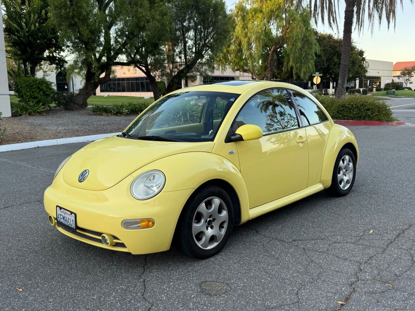 Volkswagen Beetle