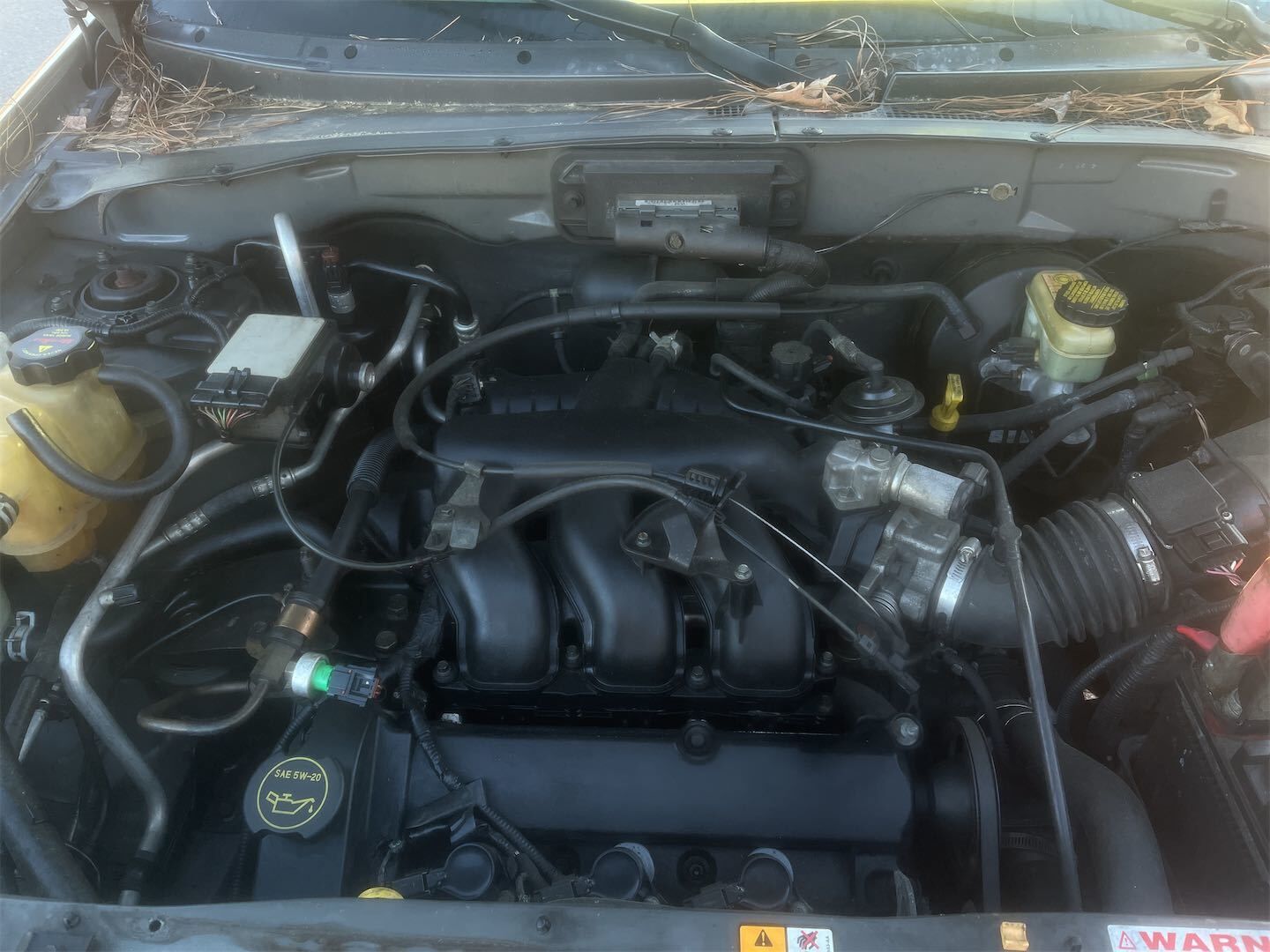 Ford Escape