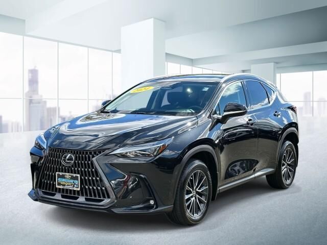 2024 LEXUS NX