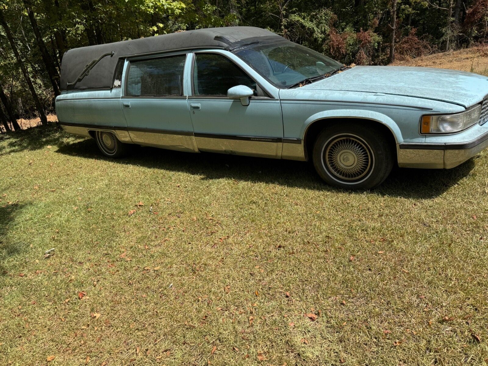 Cadillac Fleetwood
