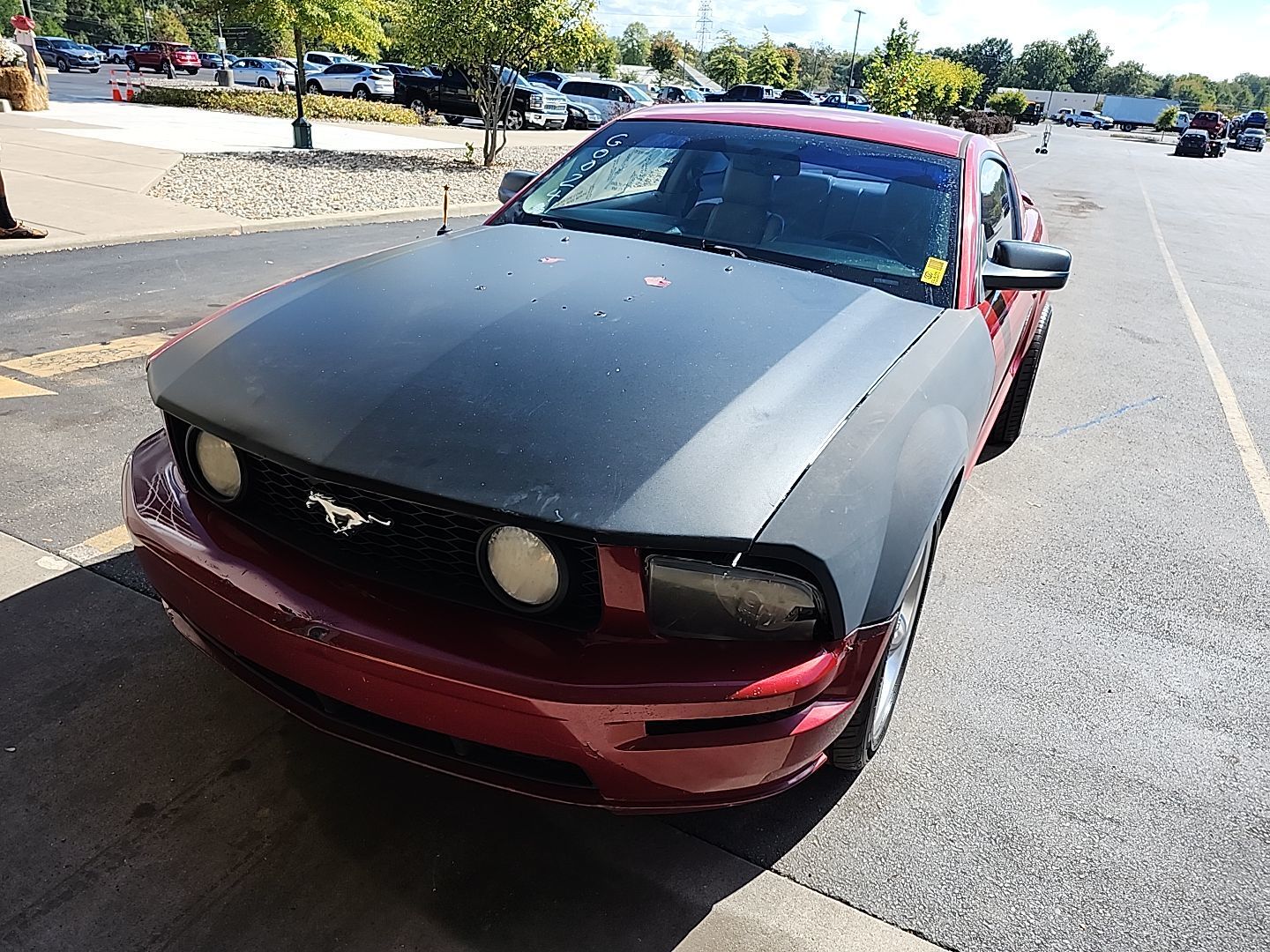 Ford Mustang