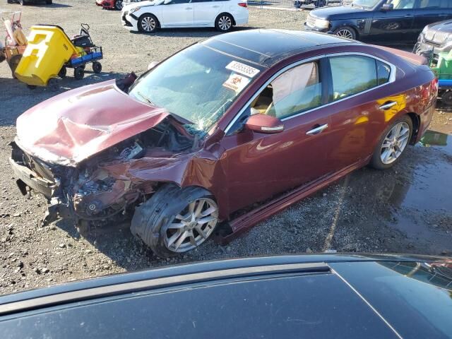 Nissan Maxima