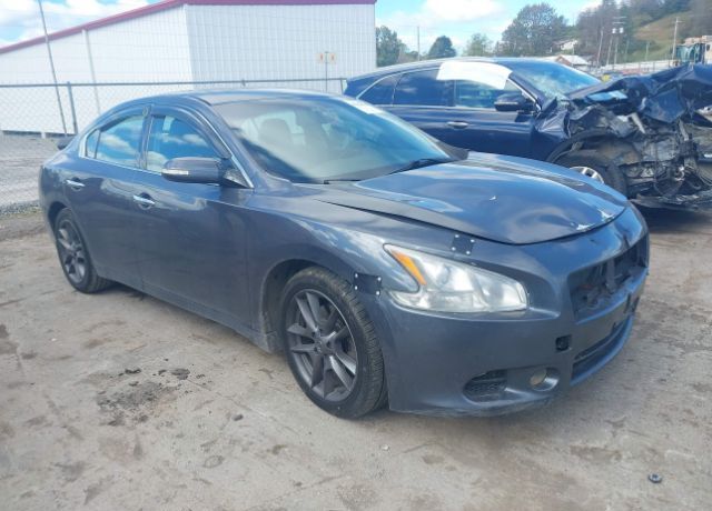 Nissan Maxima