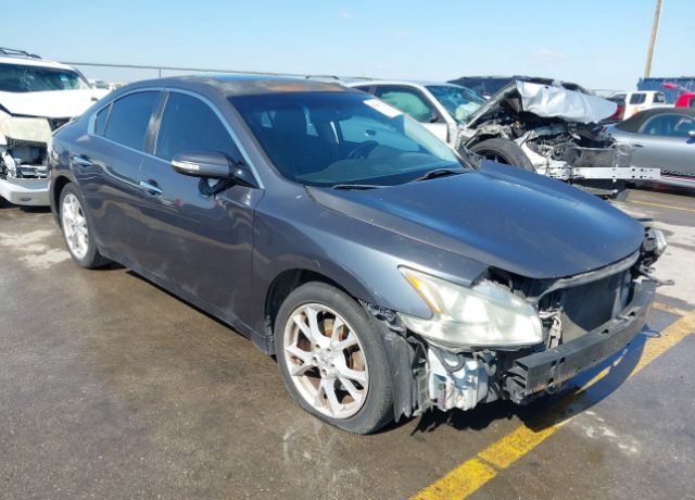 Nissan Maxima