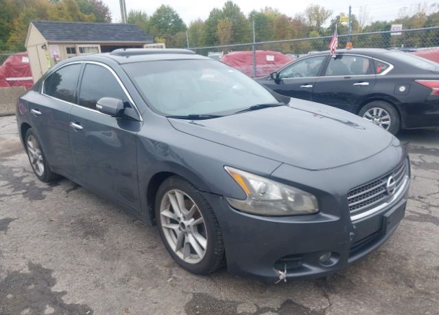 Nissan Maxima