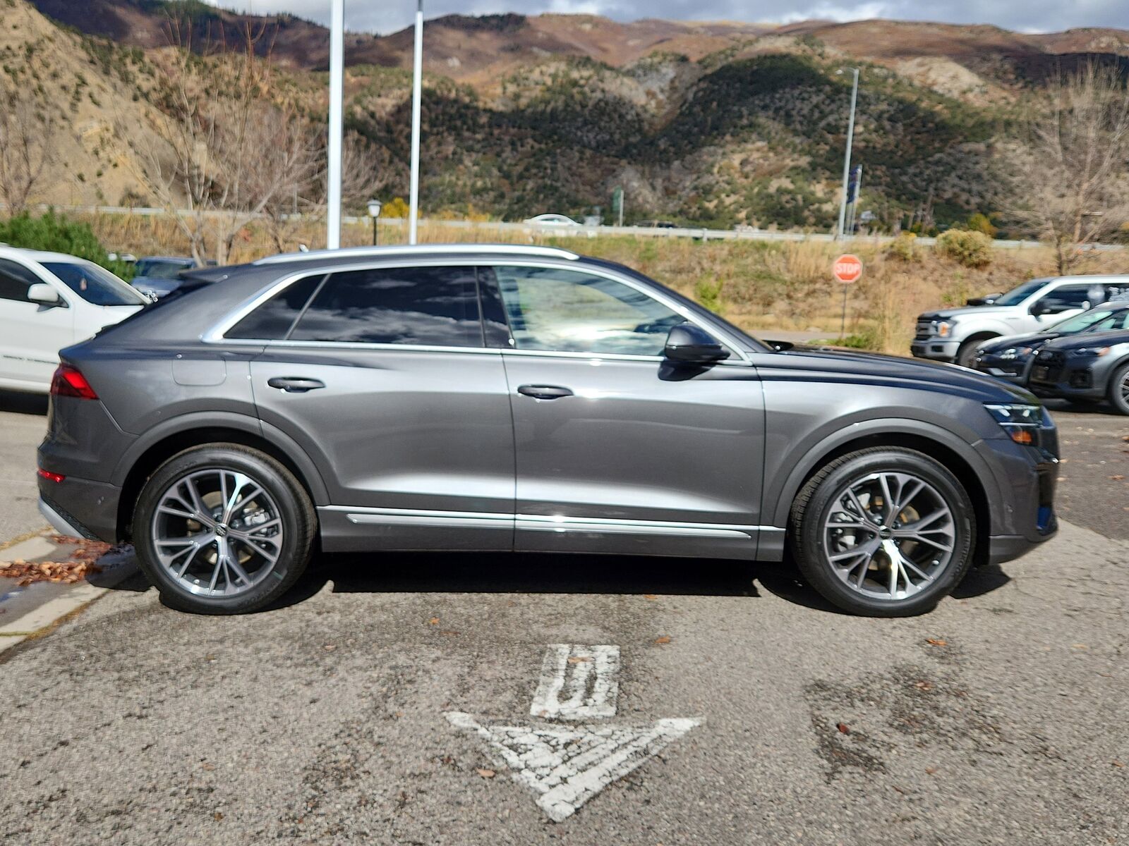 2026 Audi Q8