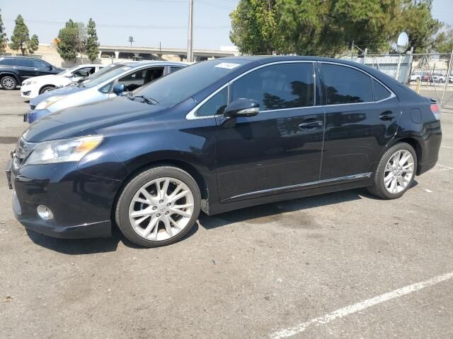 Lexus HS