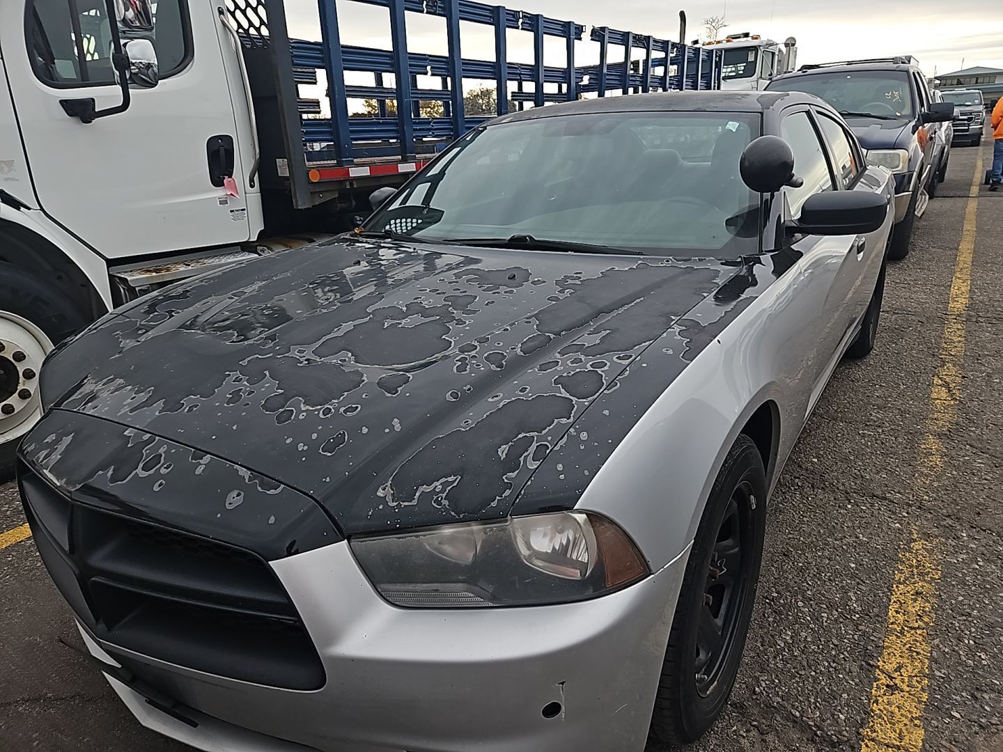 Dodge Charger