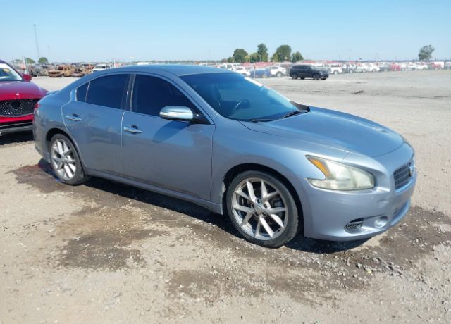 Nissan Maxima