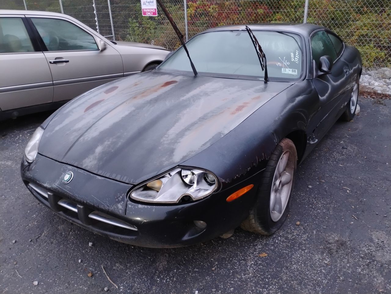 Jaguar XK8