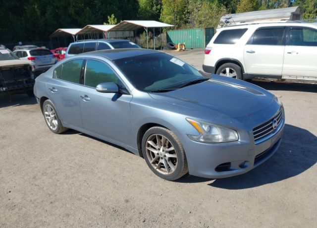 Nissan Maxima