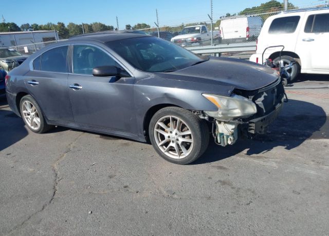 Nissan Maxima