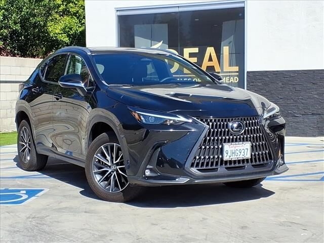 2024 LEXUS NX