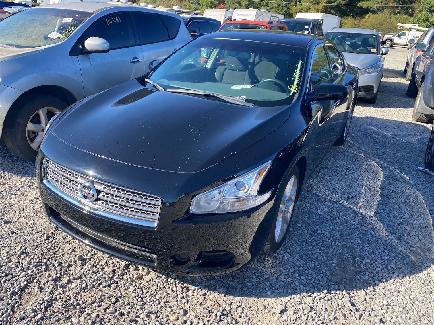 Nissan Maxima
