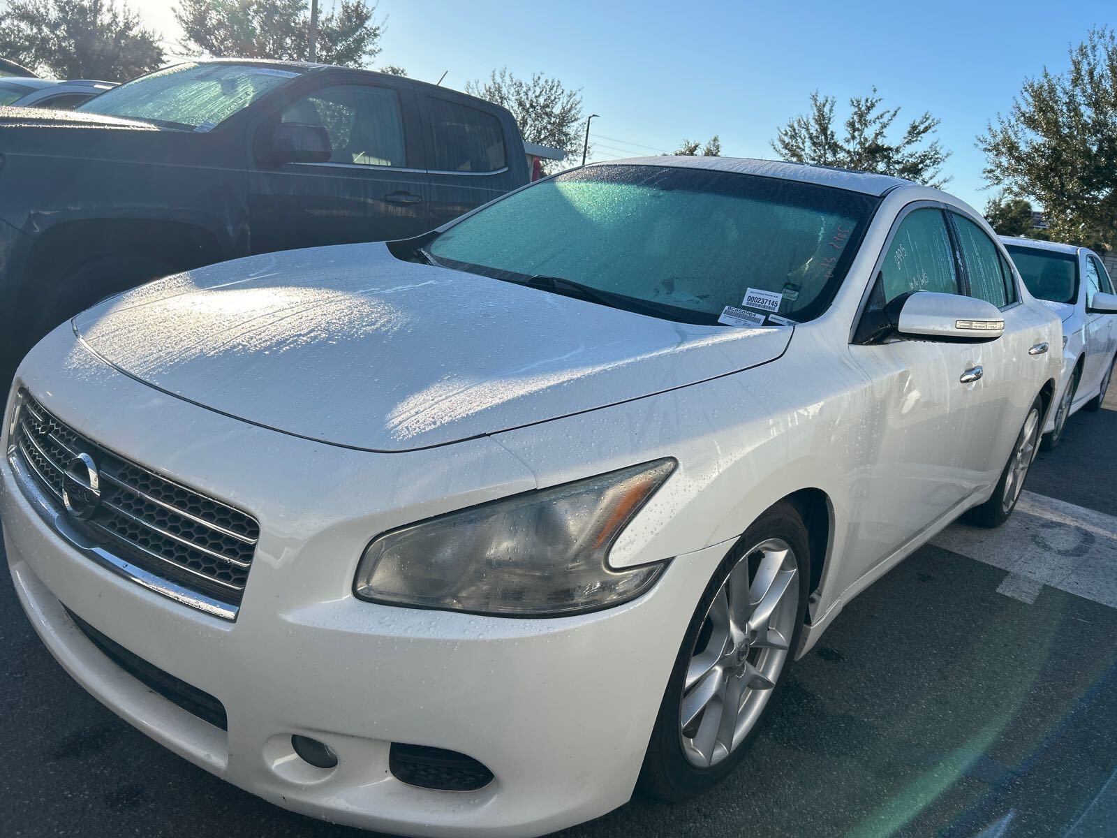 Nissan Maxima