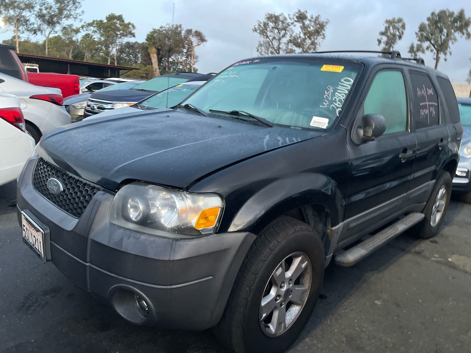Ford Escape