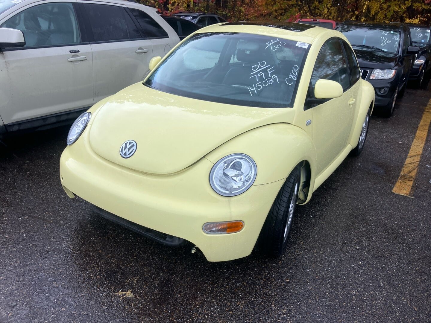 Volkswagen Beetle