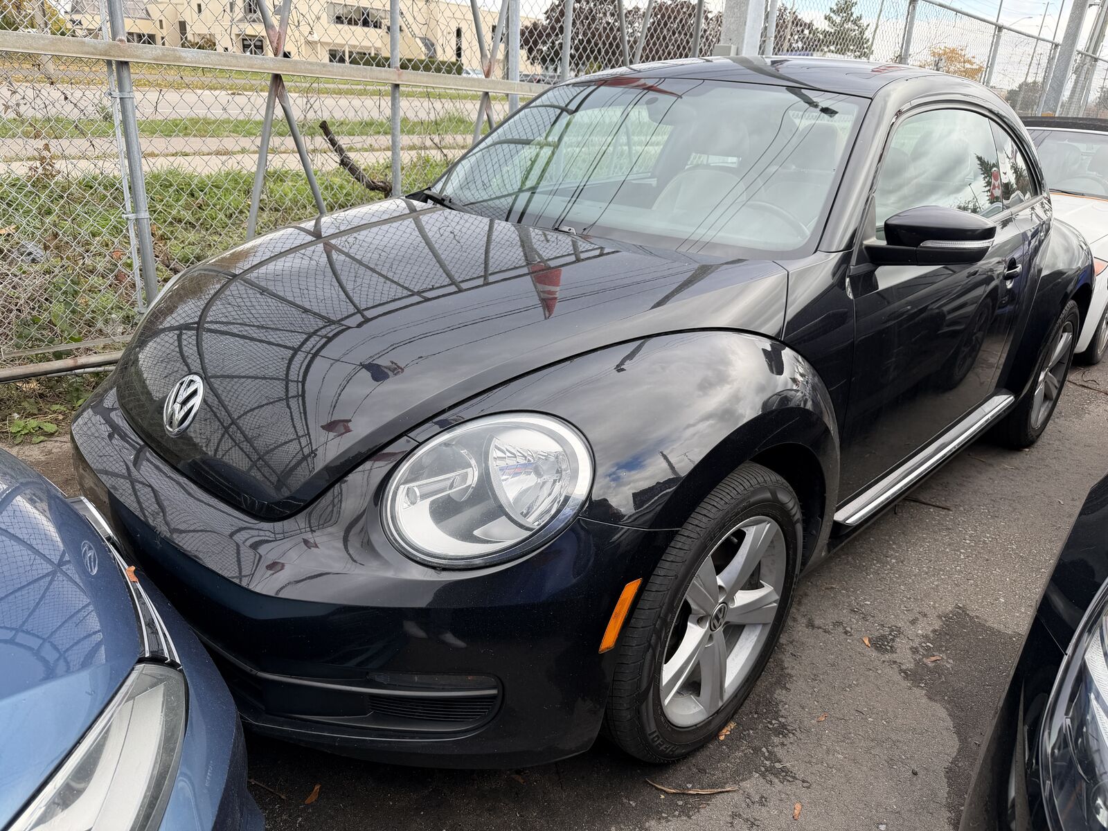 Volkswagen Beetle