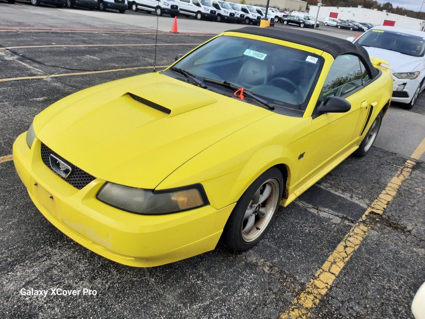 Ford Mustang