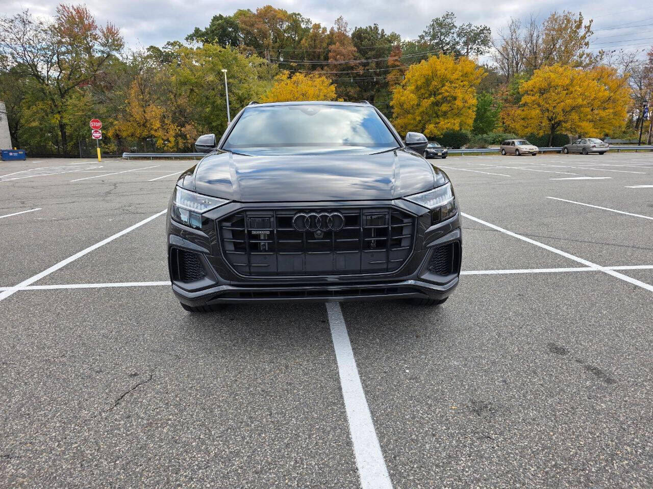 2022 Audi Q8