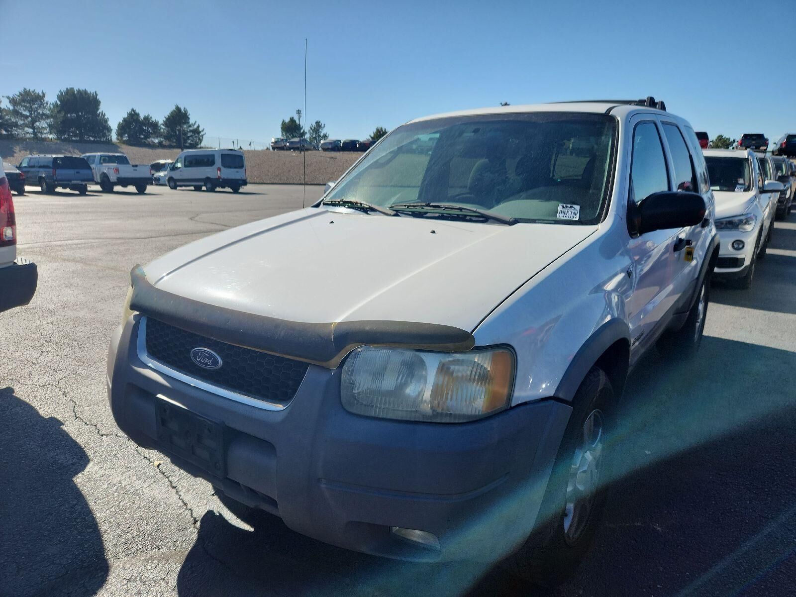 Ford Escape