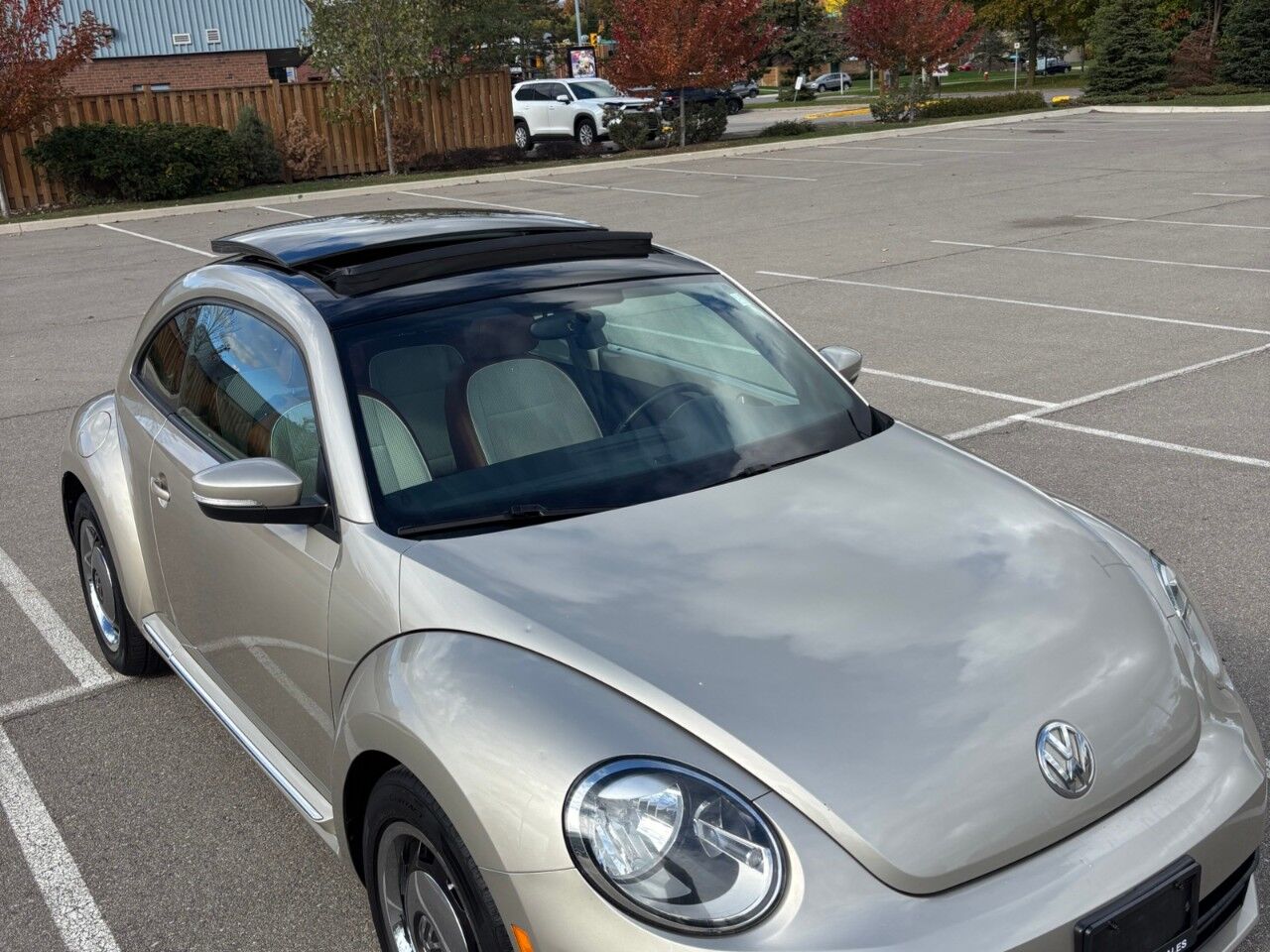 Volkswagen Beetle