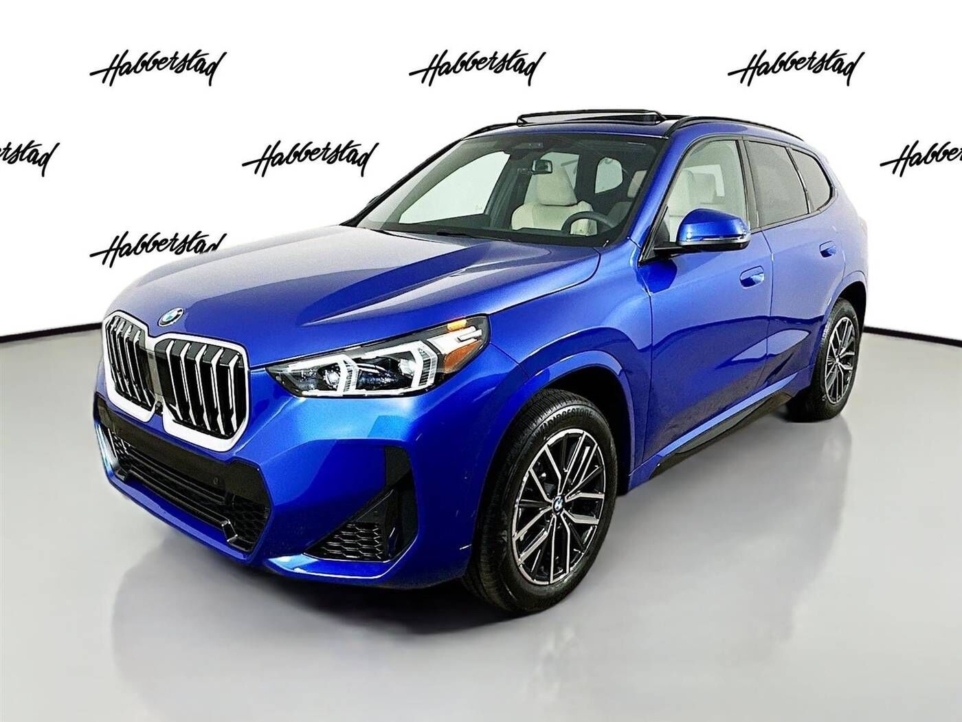 2025 BMW X1