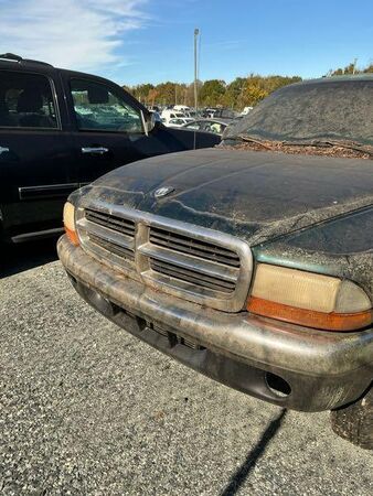 Dodge Dakota